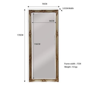 French Provincial Ornate Mirror - Champagne - Medium 70cm x 170cm - Glam Warehouse
