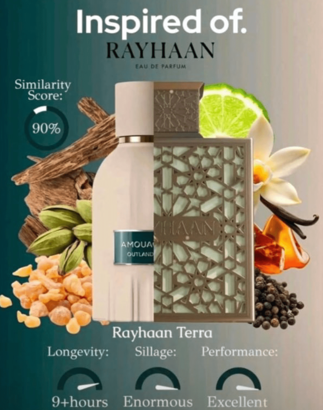 Rayhaan Terra Eau de Parfum (100ml) - Glam Warehouse