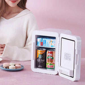 4L Makeup Fridge WIth LED Light Mirror - Glam Warehouse
