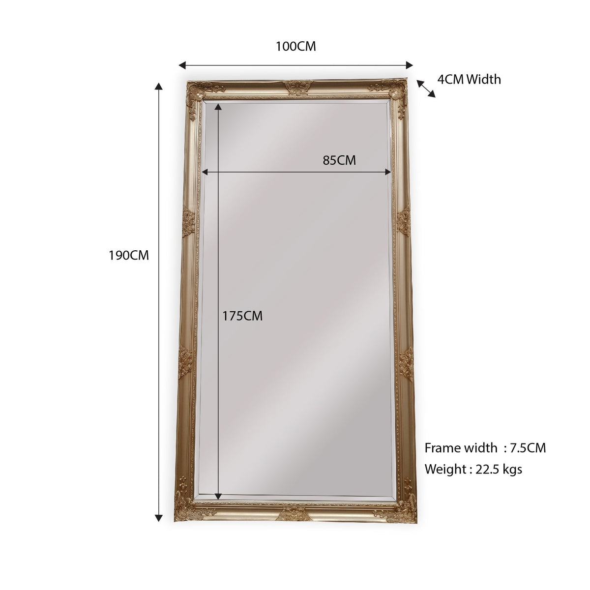 French Provincial Ornate Mirror - ANTIQUE CHAMPAGNE - X Large 100cm x 190cm - Glam Warehouse