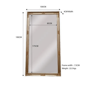 French Provincial Ornate Mirror - ANTIQUE CHAMPAGNE - X Large 100cm x 190cm - Glam Warehouse