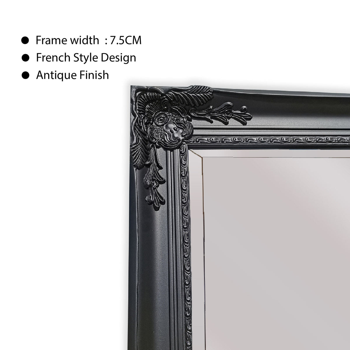 French Provincial Ornate Mirror - BLACK - X Large 100cm x 190cm - Glam Warehouse