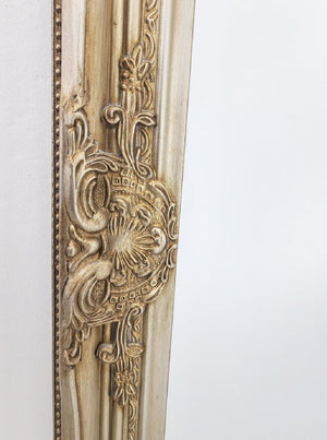 French Provincial Ornate Mirror - Champagne - Medium 70cm x 170cm - Glam Warehouse