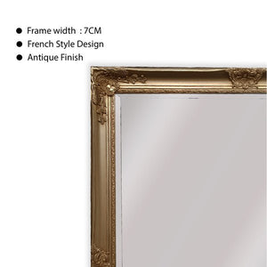 French Provincial Ornate Mirror - Champagne - Medium 70cm x 170cm - Glam Warehouse