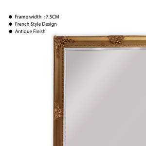 French Provincial Ornate Mirror - COUNTRY GOLD - X Large 100cm x 190cm - Glam Warehouse