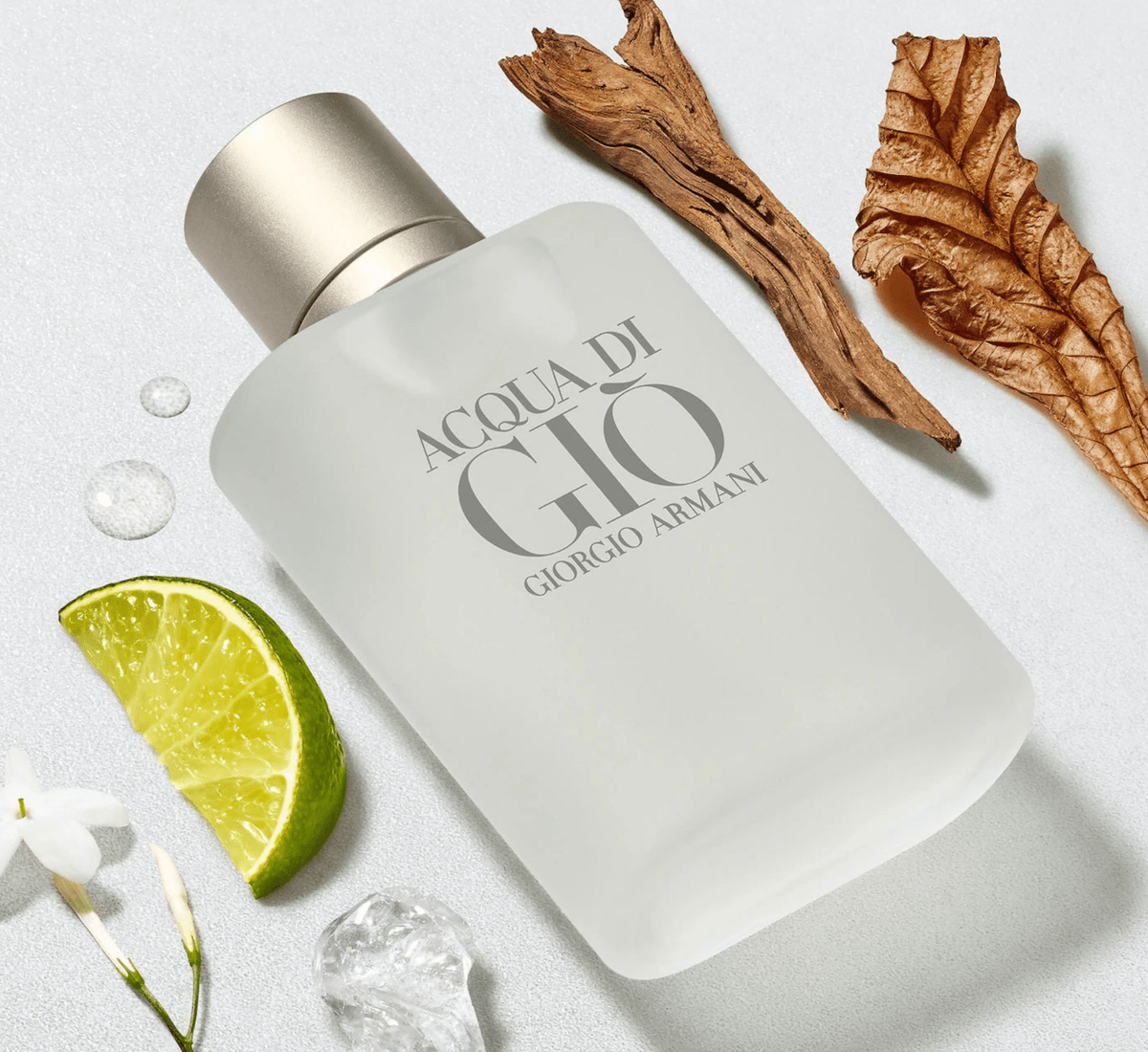Giorgio Armani - Acqua Di Giò (100ml EDT) - Glam Warehouse
