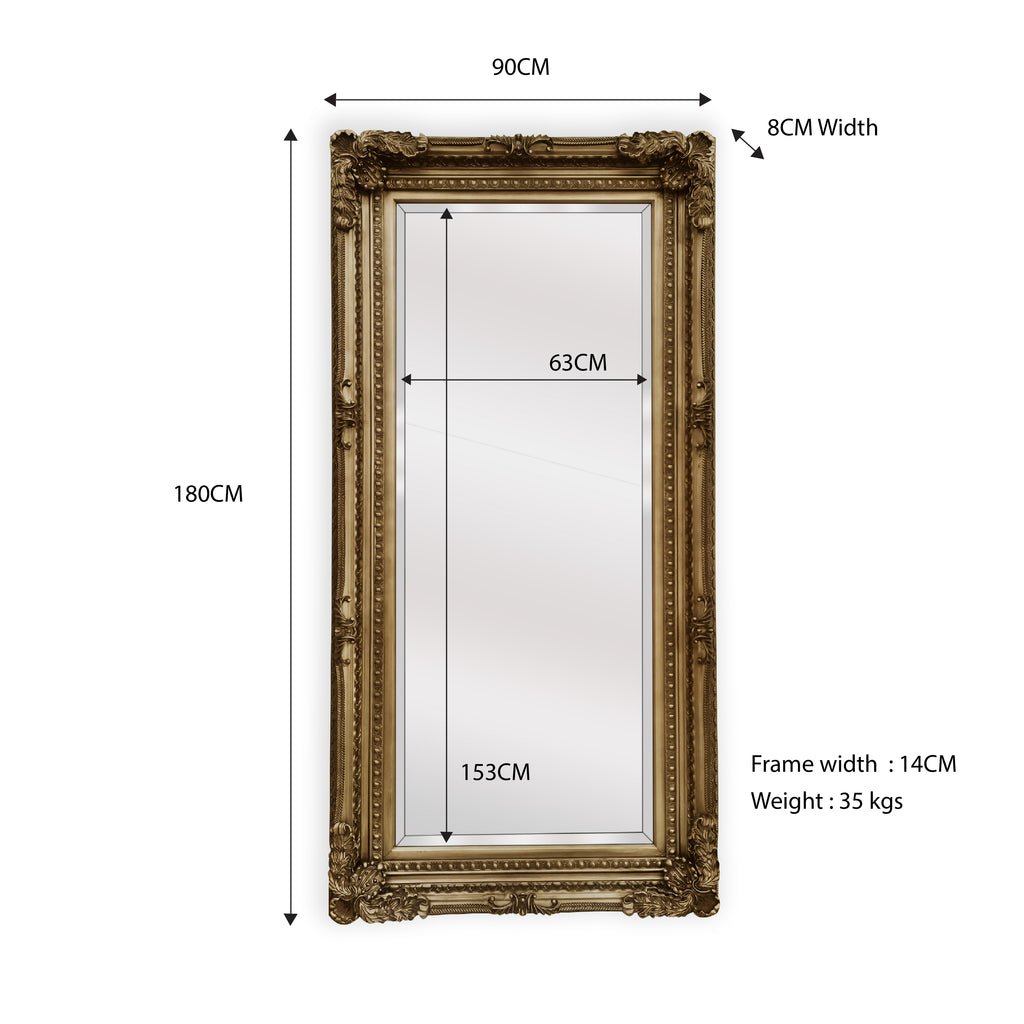 LUX French Provincial Ornate Mirror - Antique Champagne - Glam Warehouse