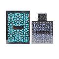 Rayhaan Aquatica Eau de Parfum (100ml) - Glam Warehouse